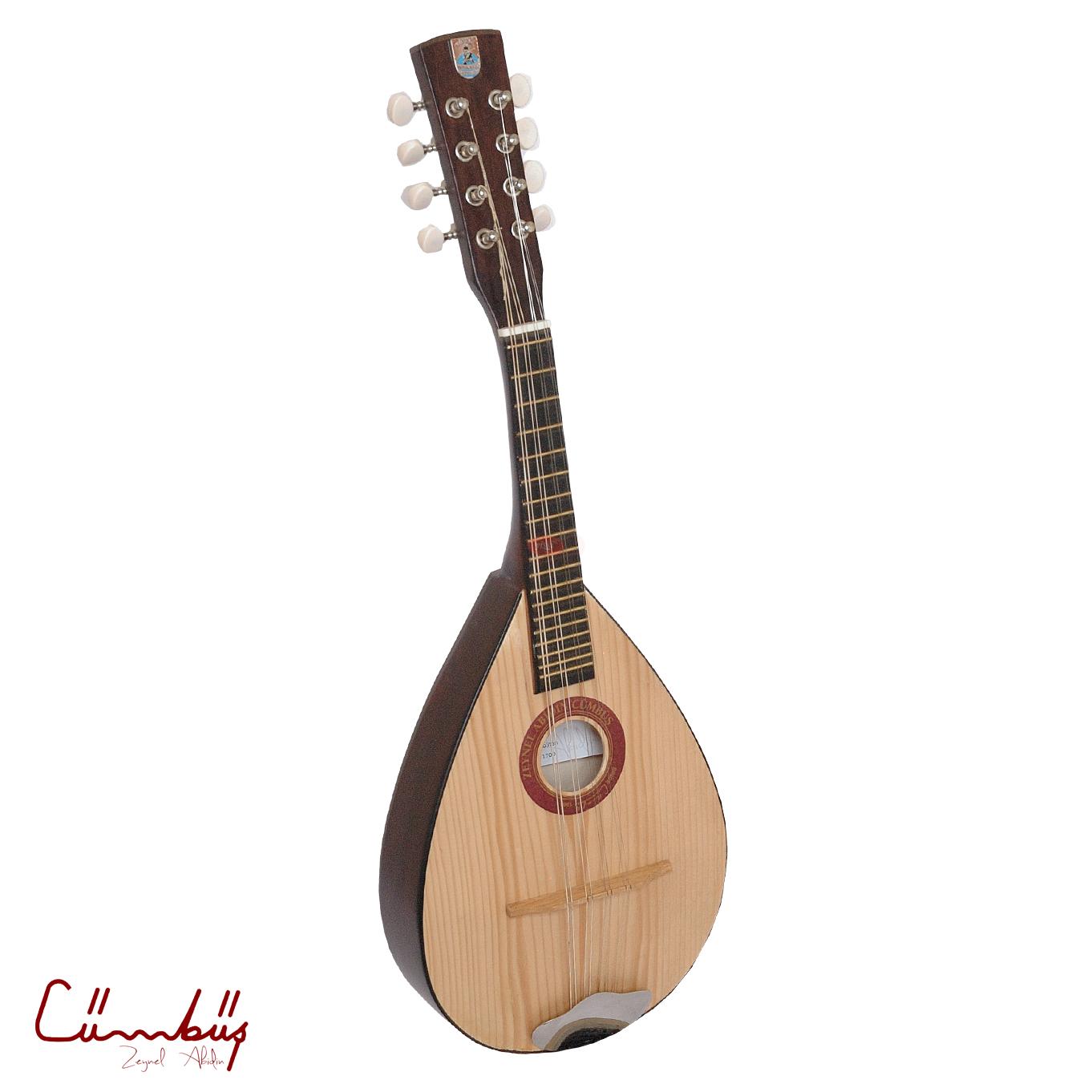 Zeynel Abidin Mandolin